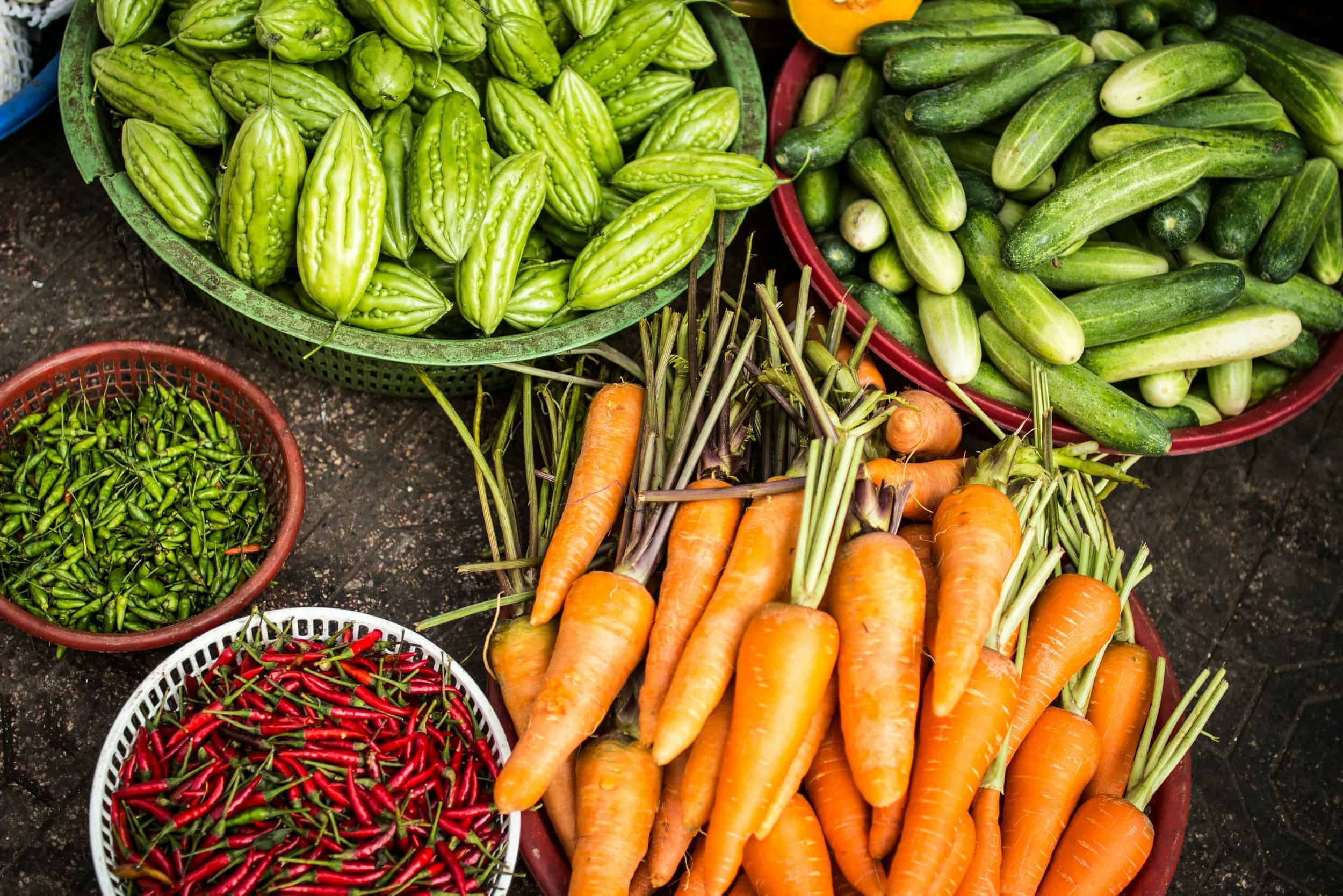 How to know when to plant a vegatable garden