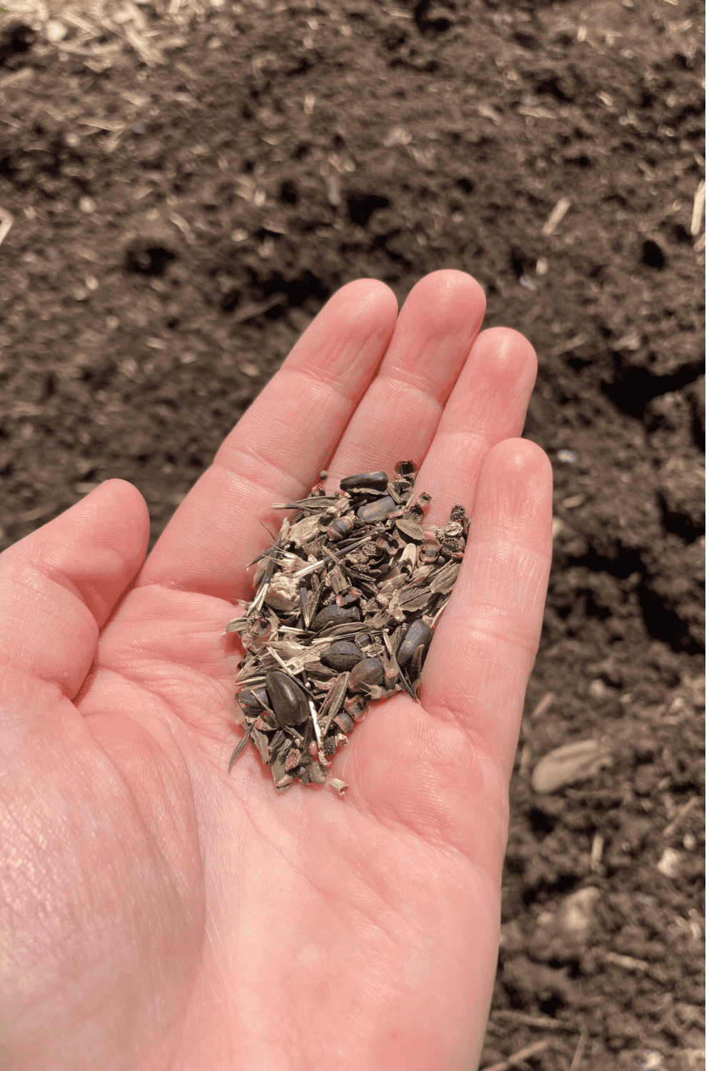 What does gardening have to offer?